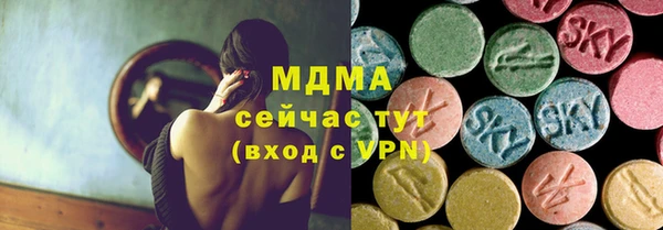 гашик Богданович