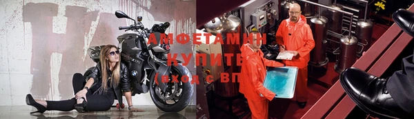 гашик Богданович