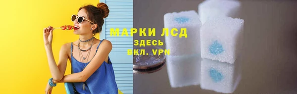 гашик Богданович