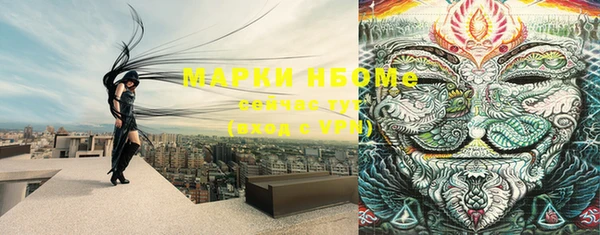 гашик Богданович