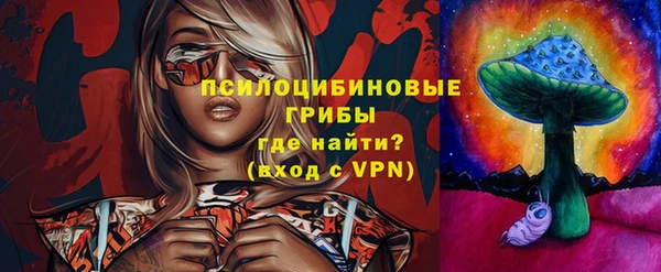 гашик Богданович