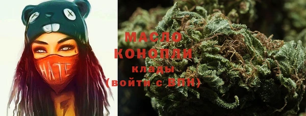 гашик Богданович